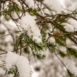 Kuusijärvi Lake winter 2023