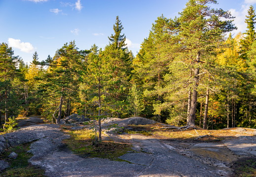 Helsinki central part 2022