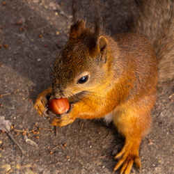 Primorskiy Park Pobedy 2022